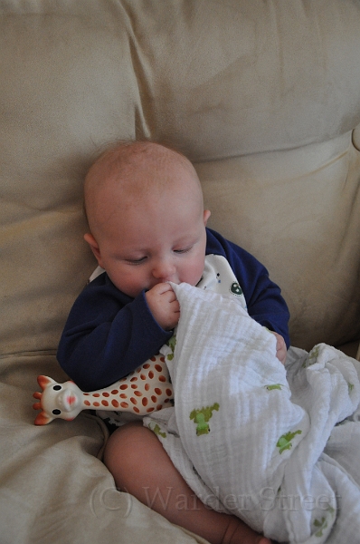 William's Fourteenth Week 05.jpg